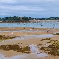 5 raisons pour lesquelles vous devez absolument visiter la plage de la Grande Salinette en Bretagne : un petit coin de nature à Saint-Briac-sur-Mer