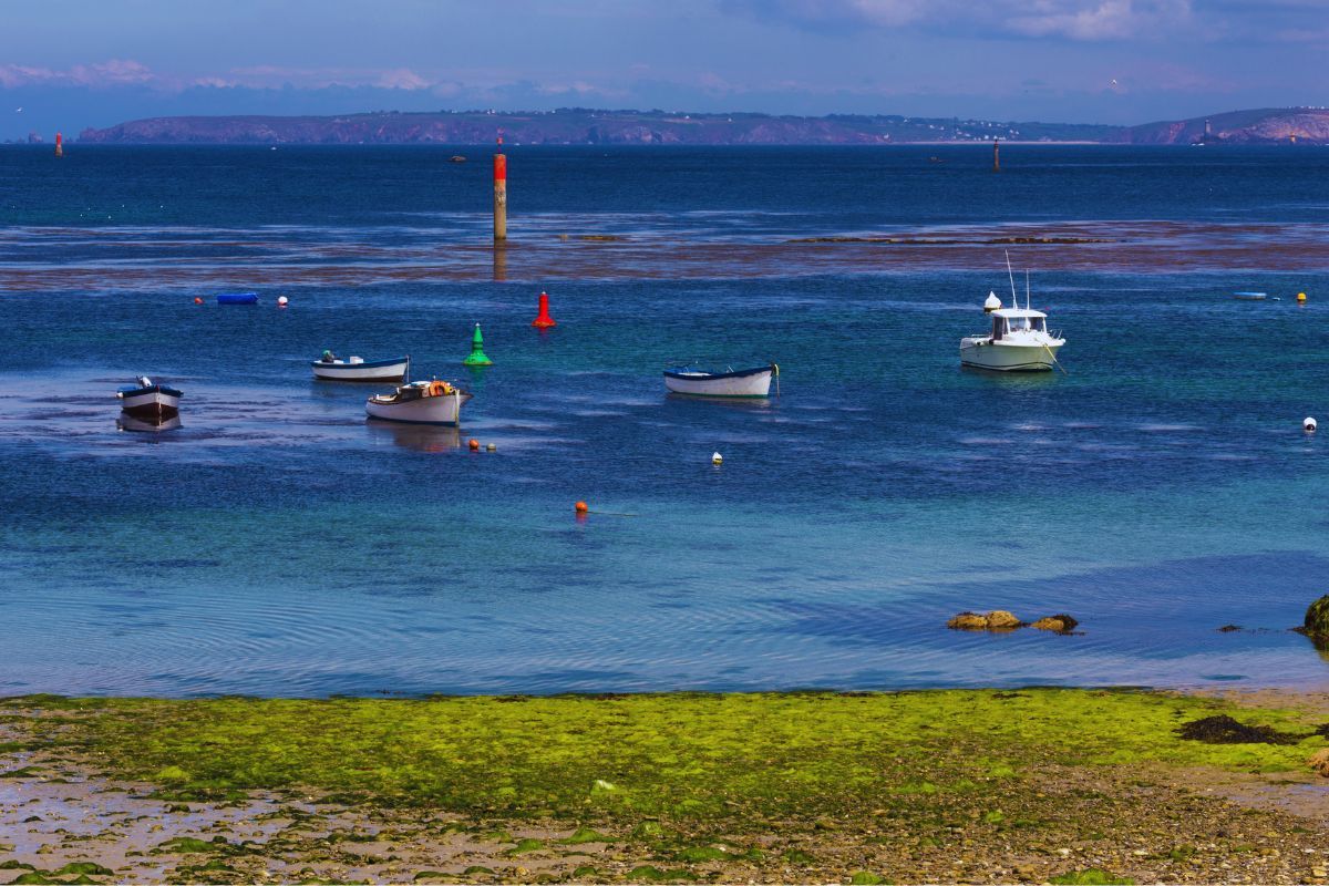 Ne partez jamais en Bretagne sans faire cette balade en bateau : quoi de mieux que de partir à l'aventure en mer ou sur les canaux pour profiter au maximum de Bretagne ?