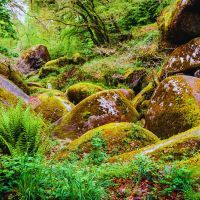 La forêt de Huelgoat en Bretagne : un monde enchanté et magique, où vous pourrez vous promener dans un environnement mystique et découvrir ses légendes