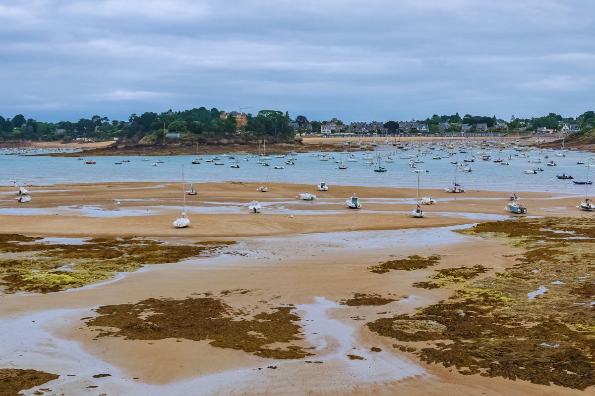 5 raisons pour lesquelles vous devez absolument visiter la plage de la Grande Salinette en Bretagne : un petit coin de nature à Saint-Briac-sur-Mer