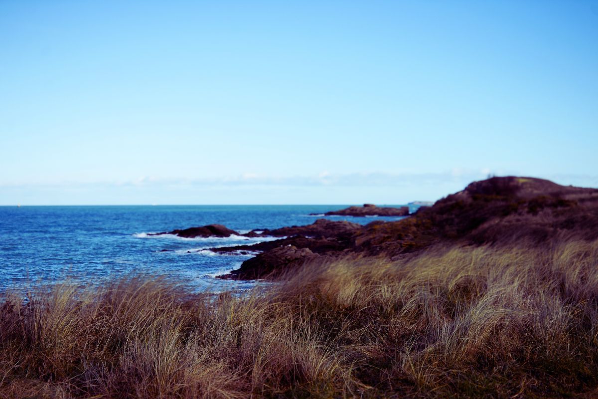 Si vous êtes amoureux de la nature, la plage de la Garde en Bretagne est parfaite pour vous : située à Saint-Briac-sur-Mer, découvrez pourquoi cette plage bretonne vaut le détour