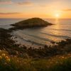 Ces 2 îles bretonnes sont un paradis caché (et personne n’en parle) : vous ne pouvez pas les manquer si vous êtes en Bretagne et qu'il y a du soleil