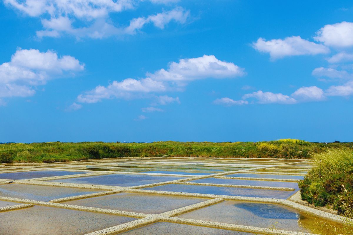 Vous ne verrez plus les marais salants de Guérande comme avant : découvrons ensemble ce lieu emblématique et fascinant, après la route du sel de Bretagne