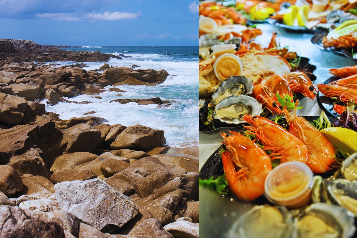 Vous adorez les fruits de mer ? Ces 3 restaurants bretons vont vous épater : venez manger un plateau de crustacés, ou un plat de poisson frais pour digérer la tempête en Bretagne