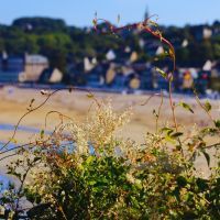 Vous rêvez de vacances en Bretagne ? Voici pourquoi vous devriez choisir la plage des Quatre Vaulx à Saint-Cast-le-Guildo : sable fin, air iodé, et eau salée