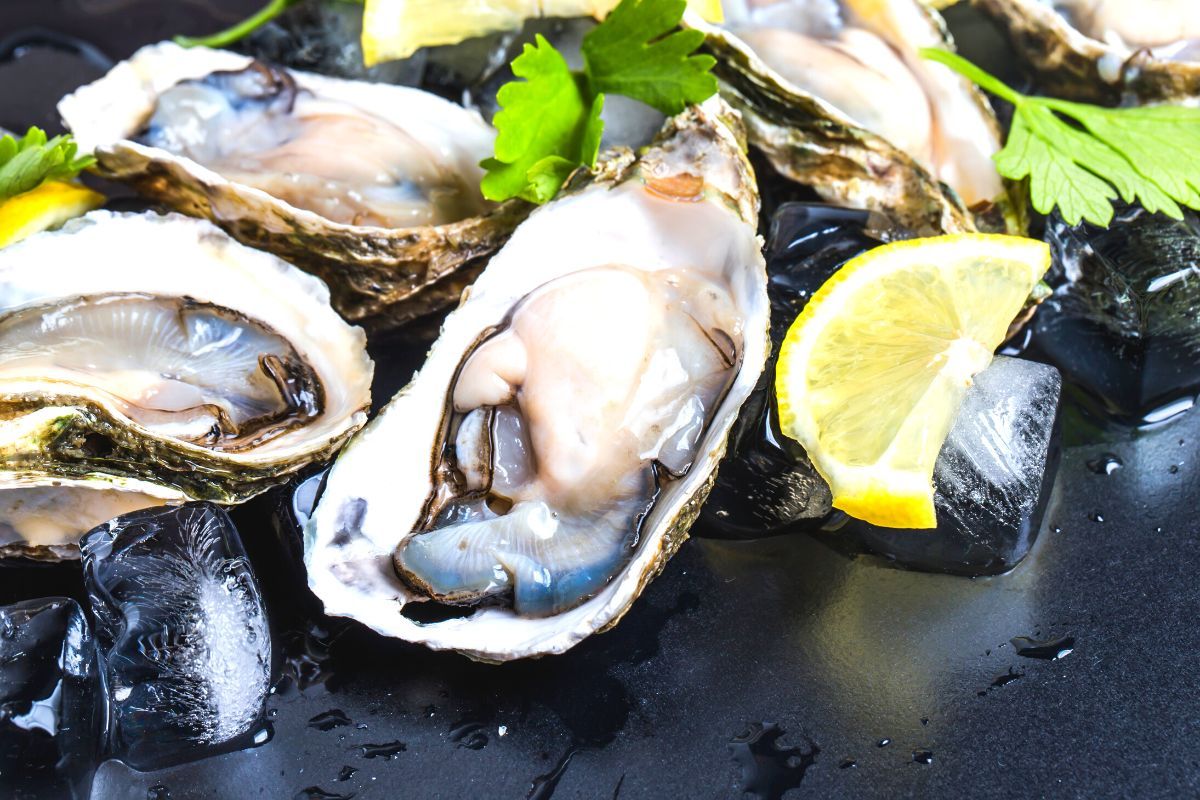 Les meilleures huîtres de Bretagne ? Elles se trouvent dans ces 4 restaurants, sans aucun doute !