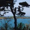 Pourquoi vous devez absolument visiter les îles de Bretagne : le charme de ces petits bouts de paradis bretons sauva vous séduire à coup sûr
