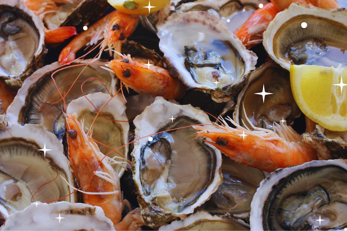 Vous ne devinerez jamais quels sont les 3 meilleurs restos de fruits de mer en Ille-et-Vilaine ! Notre top 3 pour que vous vous fassiez plaisir ce week-end si vous êtes dans ce coin de Bretagne