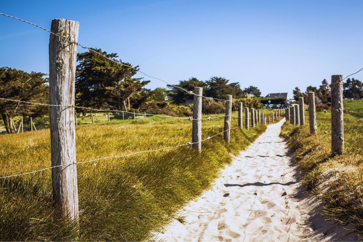 Les Dunes sauvages de Gâvres Quiberon : le secret le mieux gardé de la Bretagne, découvrez pourquoi vous devriez vous y rendre sans attendre