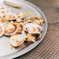 Une délicieuse recette : Coquilles St Jacques à la Bretonne