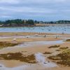 5 raisons pour lesquelles vous devez absolument visiter la plage de la Grande Salinette en Bretagne : un petit coin de nature à Saint-Briac-sur-Mer