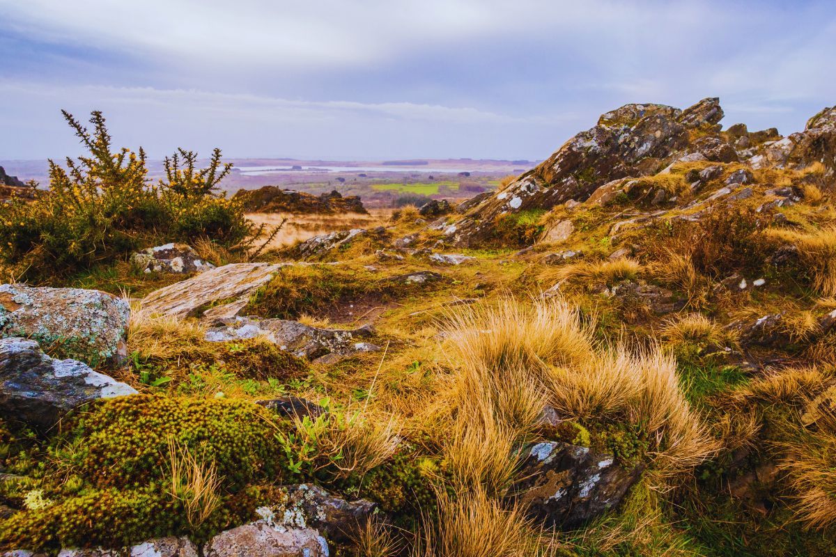 Voici comment profiter au maximum de votre randonnée dans le parc naturel d'Armorique ? Découvrez ce lieu magique de Bretagne que vous voudrez absolument explorer