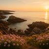 Partez à la découverte du Morbihan : Ces endroits qui vont vous émerveiller ! SI vous passez vos vacances en Bretagne, il y a des immanquables dans ce joli département
