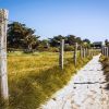 Les Dunes sauvages de Gâvres Quiberon : le secret le mieux gardé de la Bretagne, découvrez pourquoi vous devriez vous y rendre sans attendre