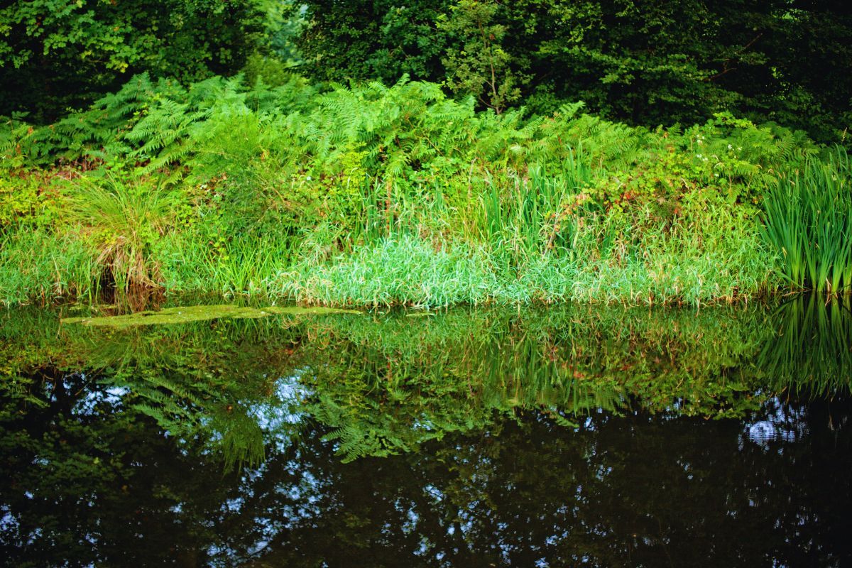 Découvrez les charmes du Canal du Blavet : une évasion pittoresque au cœur de la Bretagne, en vélo, à pied ou en bateau pour vos prochaines vacances