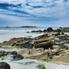 Découvrez la plage de Kerhillio : un joyau de la Bretagne qui va vous plaire situé à Erdeven, cette jolie commune du Morbihan