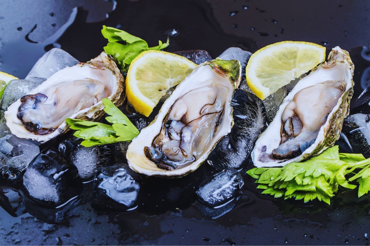 Dégustez les huîtres du Golfe du Morbihan : une expérience culinaire bretonne incontournable en bord de mer, que vous ne devez pas rater si vous passer dans ce département