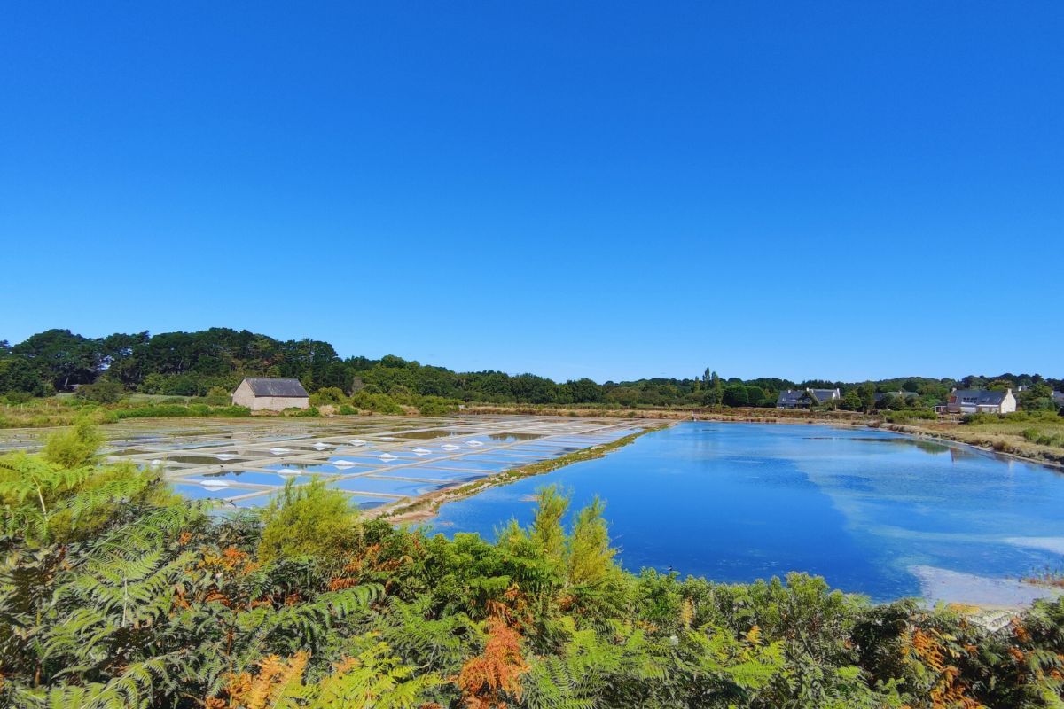 Envie de dépaysement en Bretagne ? Venez découvrir les marais salants en Bretagne : des trésors à explorer absolument, peu importe la saison