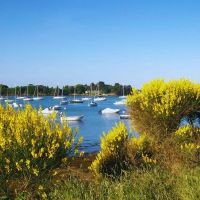 Vacances avec votre chien dans le Morbihan : les plages accueillantes