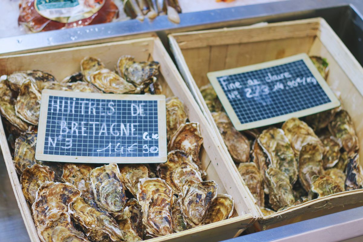 Ces huîtres bretonnes ont raflé les médailles au Salon de l'Agriculture 2025 : découvrez les perles cachées du Morbihan, qui vous donneront envie d'un plat d'huîtres et de fruits de mer en Bretagne