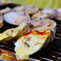 Les huîtres chaudes de Bretagne : Un délice à découvrir