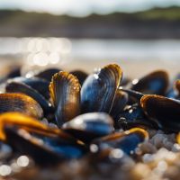 Découvrez les variétés de moules uniques de Bretagne