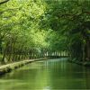 Partez vous promener sur le canal Manche-Océan : une aventure pittoresque au cœur de la Bretagne, à pied, en vélo ou en bateau pour voir de nombreux paysages