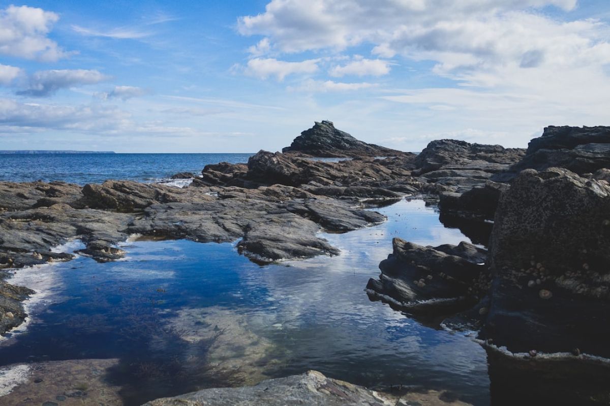 Guide ultime de la pêche à pied en Bretagne 2024