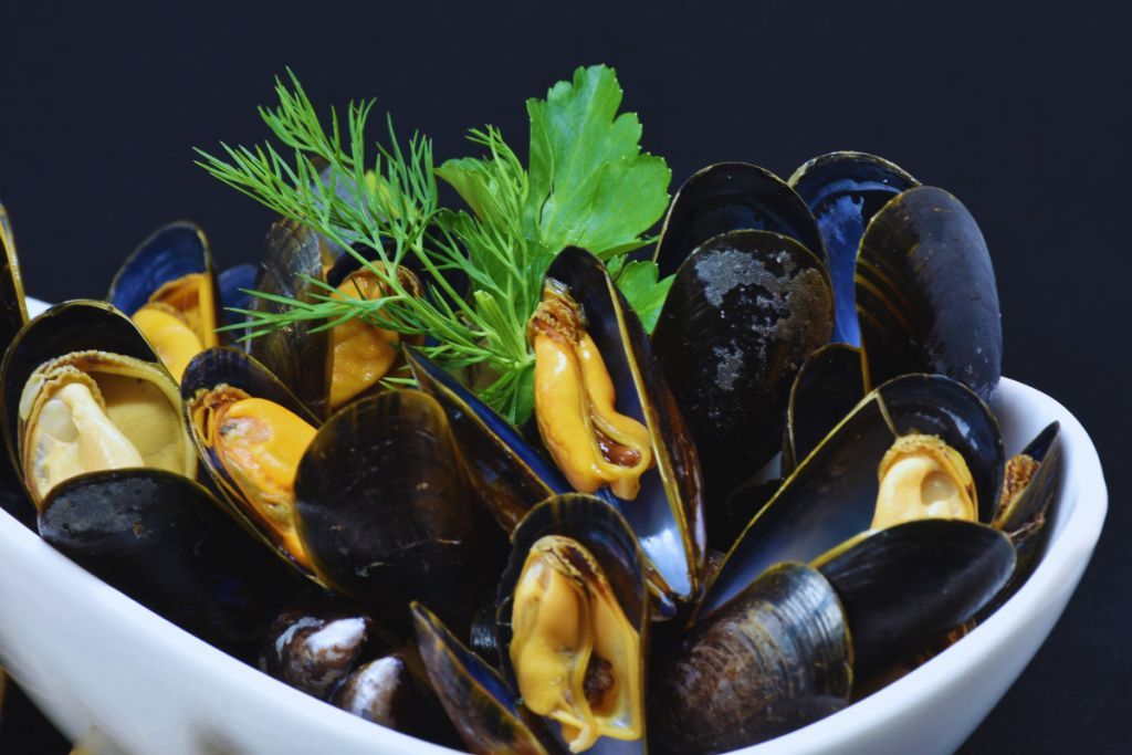 Quand et où pêcher les meilleures moules en Bretagne ?