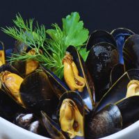 Quand et où pêcher les meilleures moules en Bretagne ?