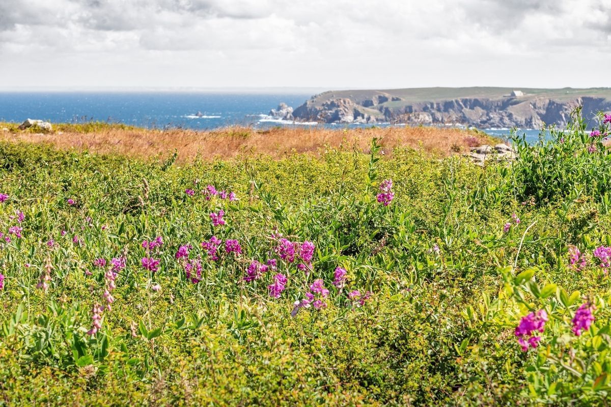 Sorties, restos, activités : comment faire des économies en Bretagne toute l’année ?