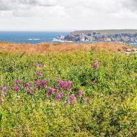 Sorties, restos, activités : comment faire des économies en Bretagne toute l’année ?