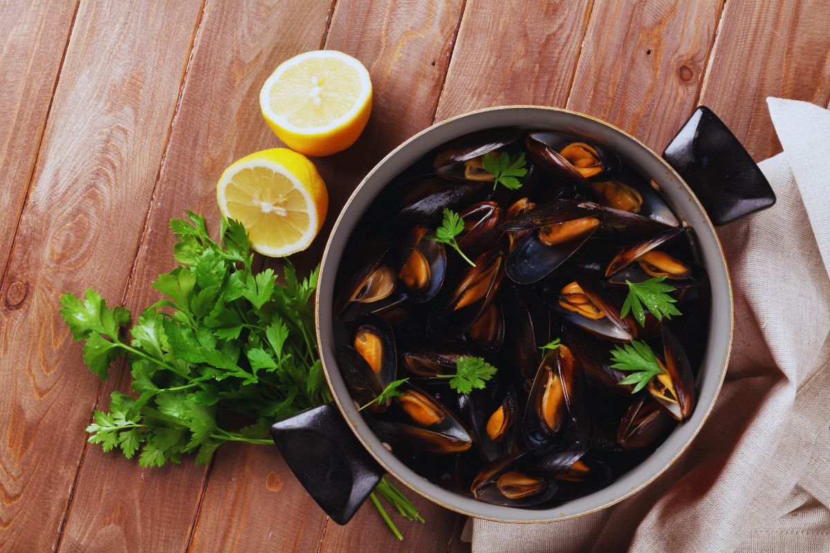 Découvrez les 3 meilleurs restaurants pour déguster des moules dans le Finistère en Bretagne : réchauffez-vous le coeur avec un bon plat de moules marinées et oubliez les températures qui se rafraîchissent