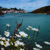 Visitez Belle-Île-en-Mer : un voyage au cœur des trésors de Bretagne, avec de nombreuses plages à votre disposition et des activités pour tous