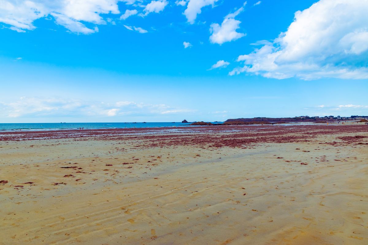 Vous devriez découvrir la plage du Minihic, voici pourquoi : une jolie plage naturelle près de la Pointe de Rochebonne et la fameuse ville de Saint-Malo