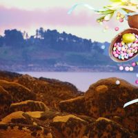Votre week-end de Pâques en Bretagne : 10 idées pour le rendre inoubliable et passer de superbes vacances bretonnes entre amis ou en famille